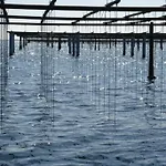 Vila Grande Neuve Avec Piscine Pres Et Sete