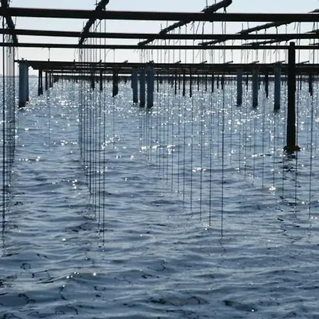 Villa Grande Neuve Avec Piscine Pres Et Sete