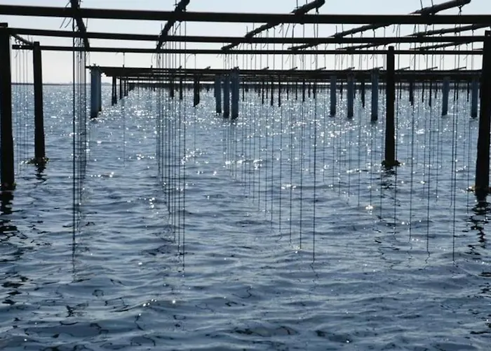Grande Neuve Avec Piscine Pres Et Sete Villa *